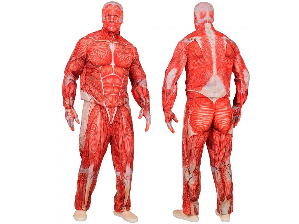 Anatómiai férfi jelmez