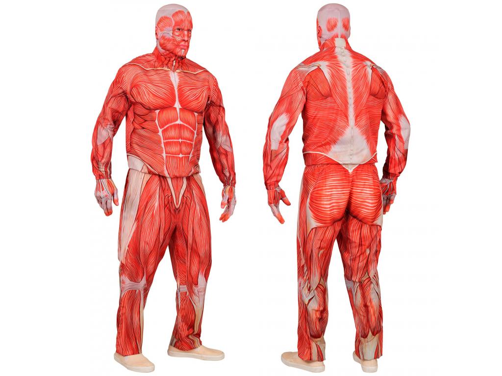 Anatómiai férfi jelmez