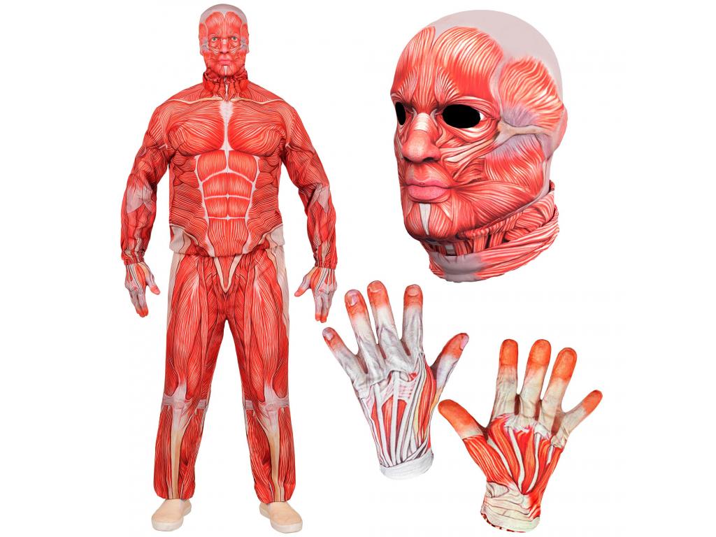 Anatómiai férfi jelmez