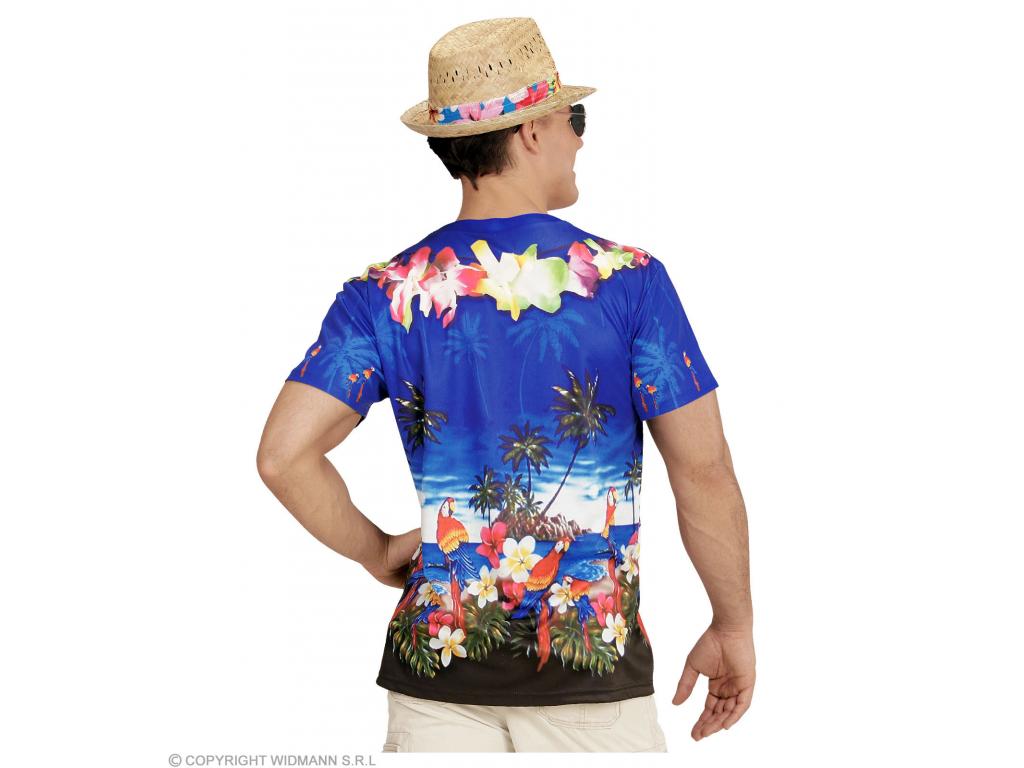 Hawaii pasi férfi jelmez