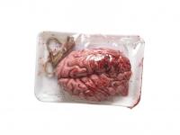 Véres agy - halloween dekoráció