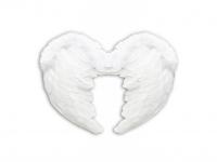 Toll szárny, fehér, 37x50 cm