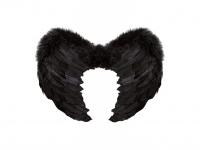 Toll szárny, fekete, 37x50 cm